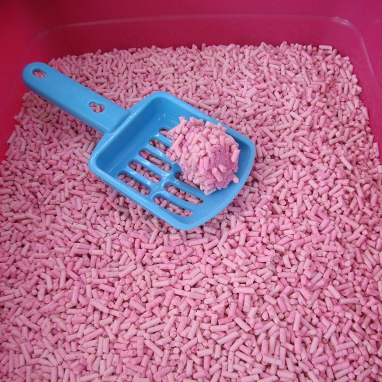 bio cat litter.JPG