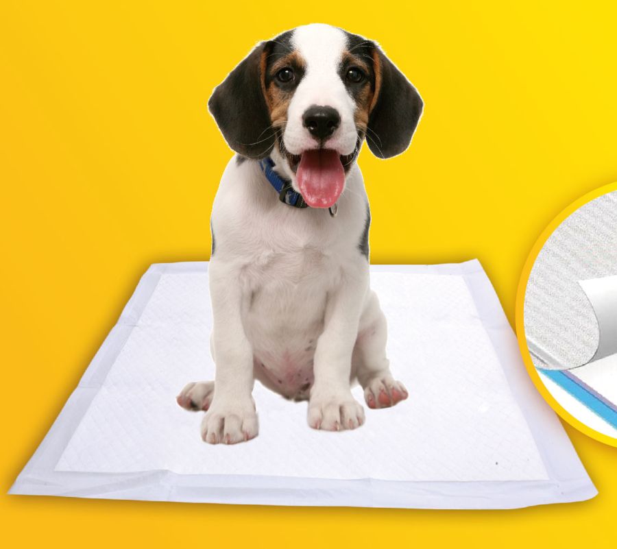 private label puppy training pads best water absorption odor control popular in Brazil