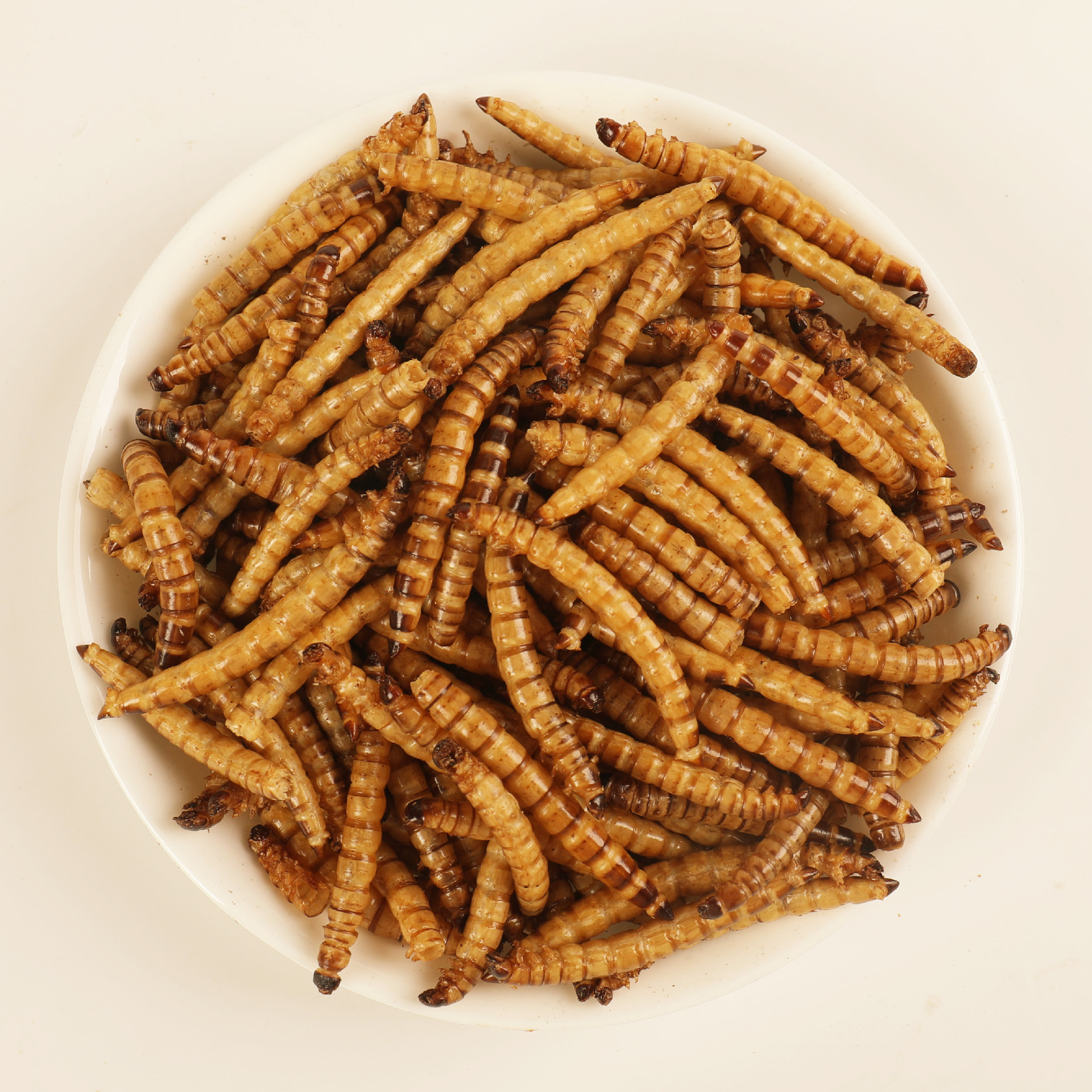 Dried Cricket Mealworm Grasshopper All Natural Pet Food