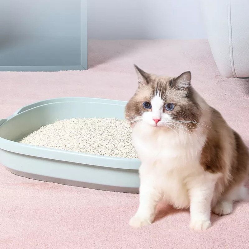 Best sell tofu cat litter popular in Poland