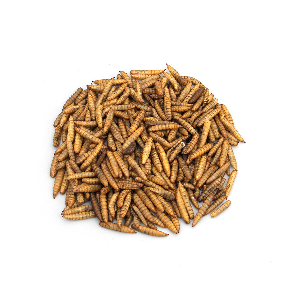 High Protein Mealworms Bird Food Mealworm Feed Pet Bird Seed