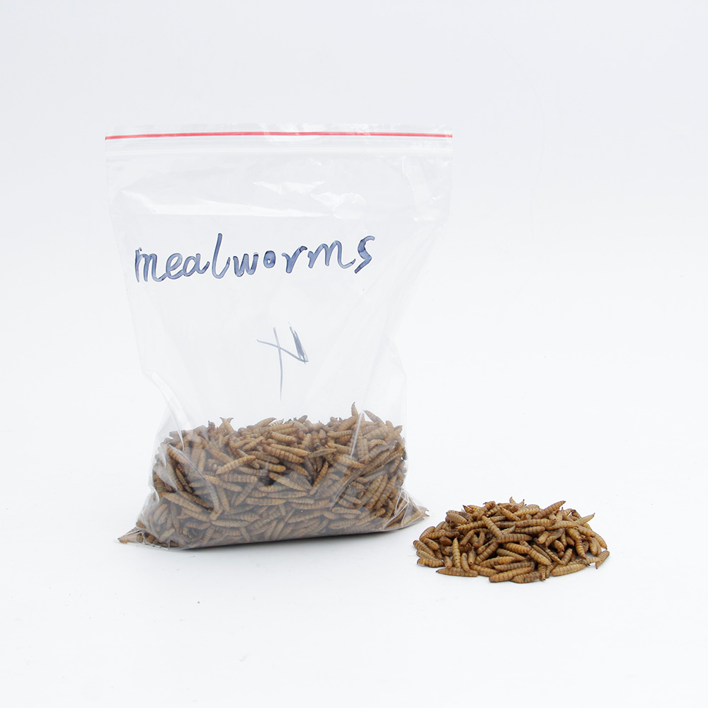 Wild Bird Food Microwave Dried Mealworms For Sale