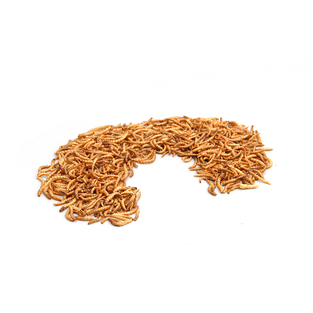 High Protein Mealworms Bird Food Mealworm Feed Pet Bird Seed