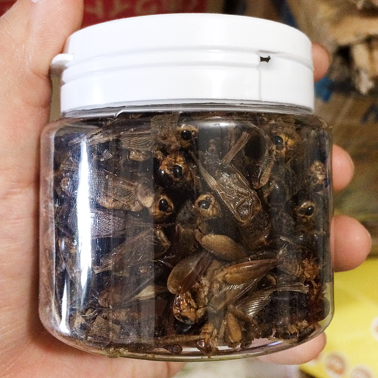 Microwave Dried Crickets For Pet Birds Food Manufacturer