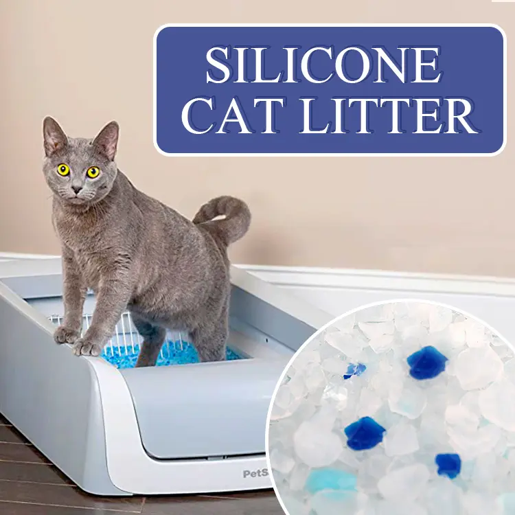 How to teach a cat to use the CAT LITTER？