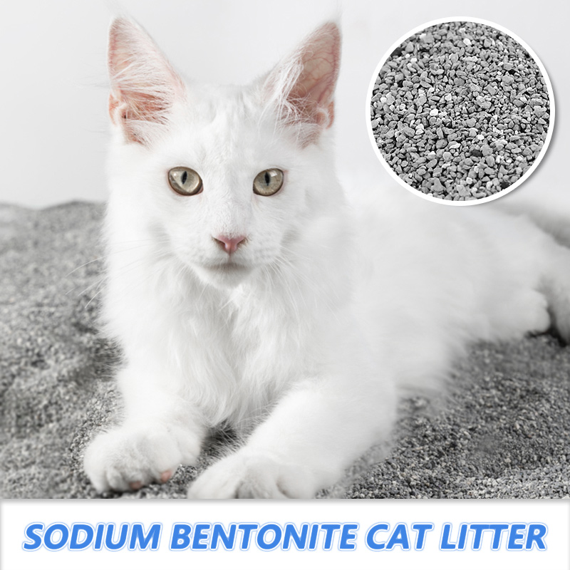Premium bentonite cat litter popular in UK