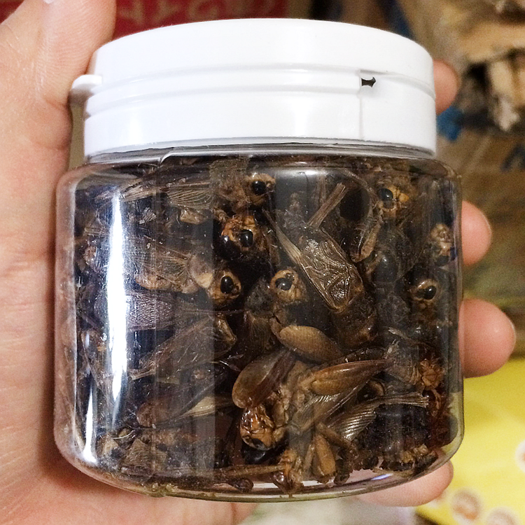 Freeze Dried Cricket Dried locust for Bird