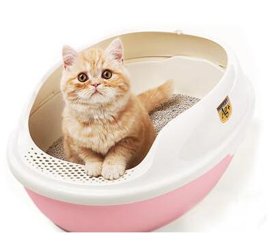 cat litter manufacturer.jpg