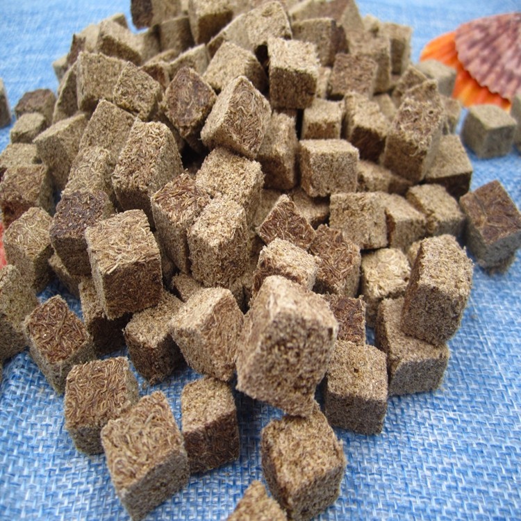 Brine Shrimp For fish food630331.jpg Brine Shrimp For fish food.JPG