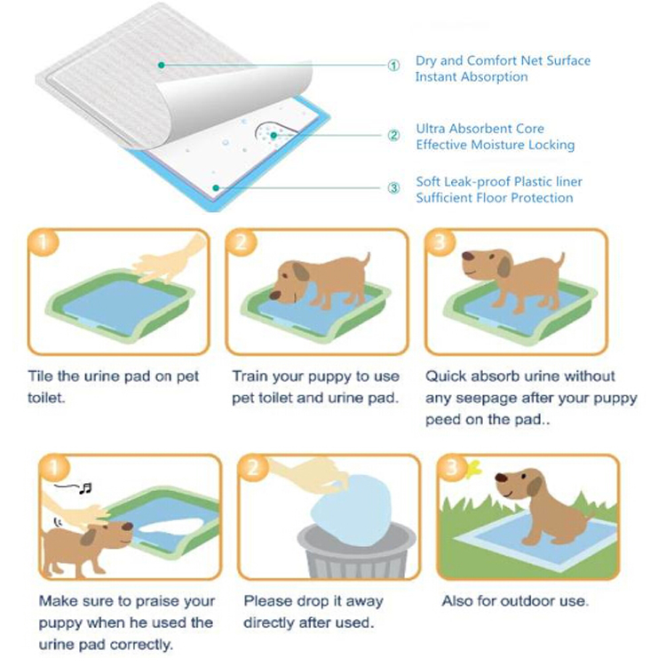 how to make your puppy pee on a pad