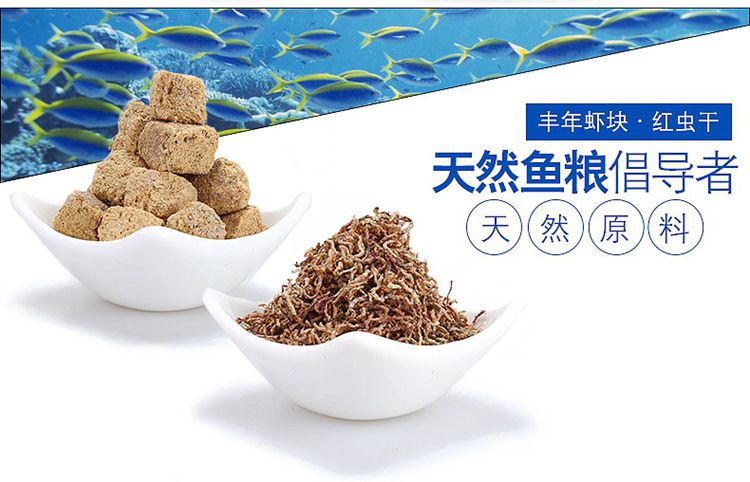 food for fish295664.jpg food for fish.jpg