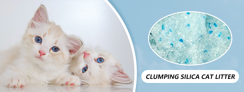 clumping-silica-cat-litter.jpg