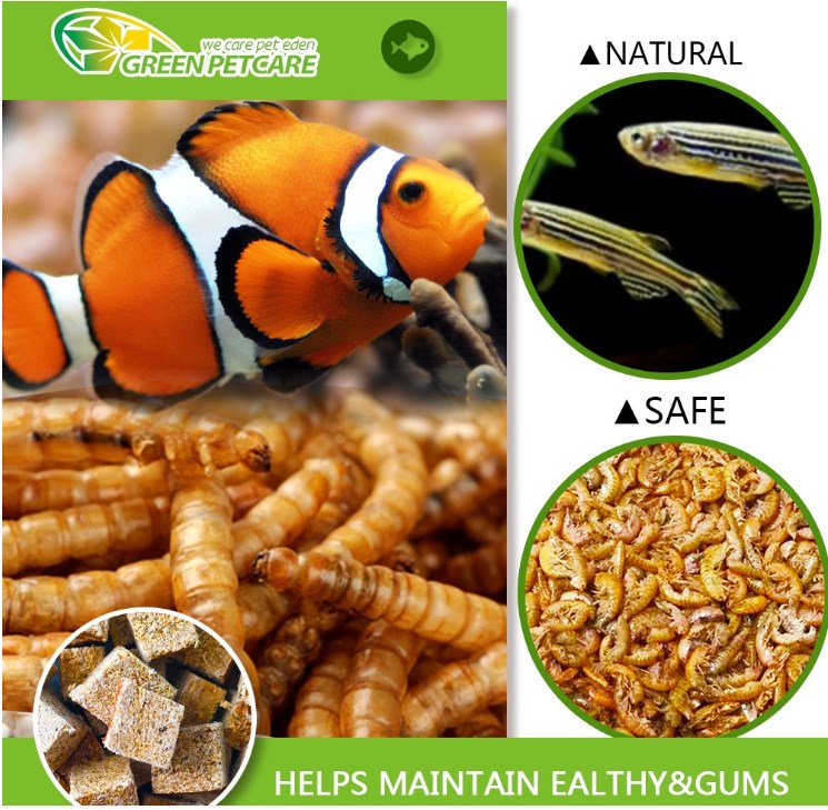 MD Organic Pet Food(bird,fish cat) Dry Mealworm Dehydrated Tenebrio Molitor