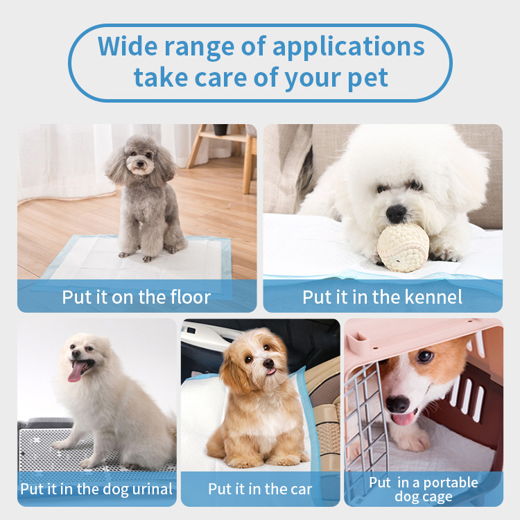 Best puppy pads for sale