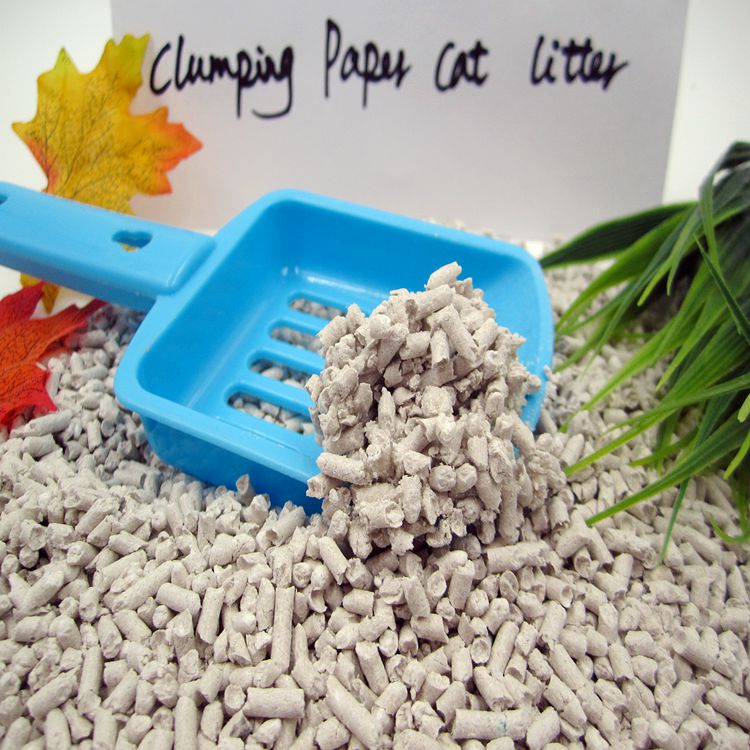 recycled newspaper cat litter